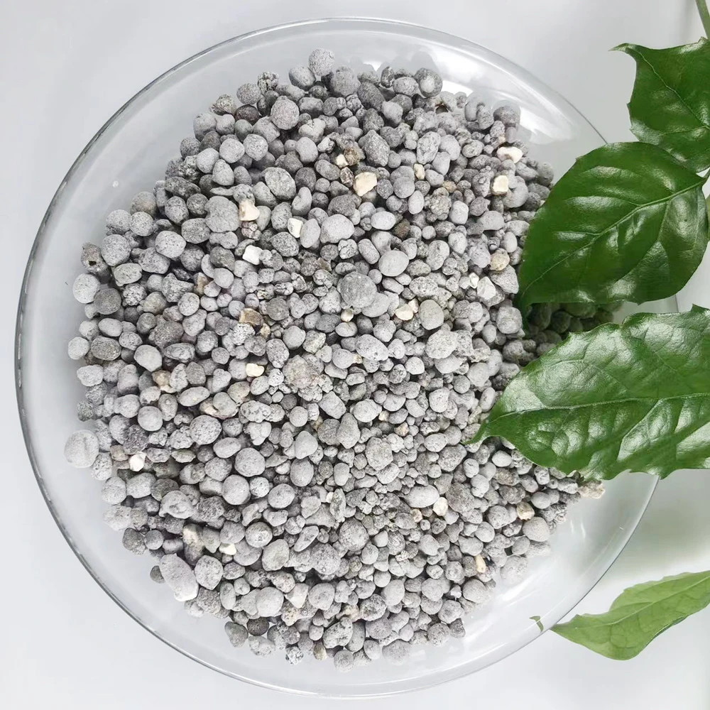 Ssp Chemical Fertilizer Reasonable Price Inorganic Increase Production SSP Export 25Kg 50Kg Bag Asian Manufacturer