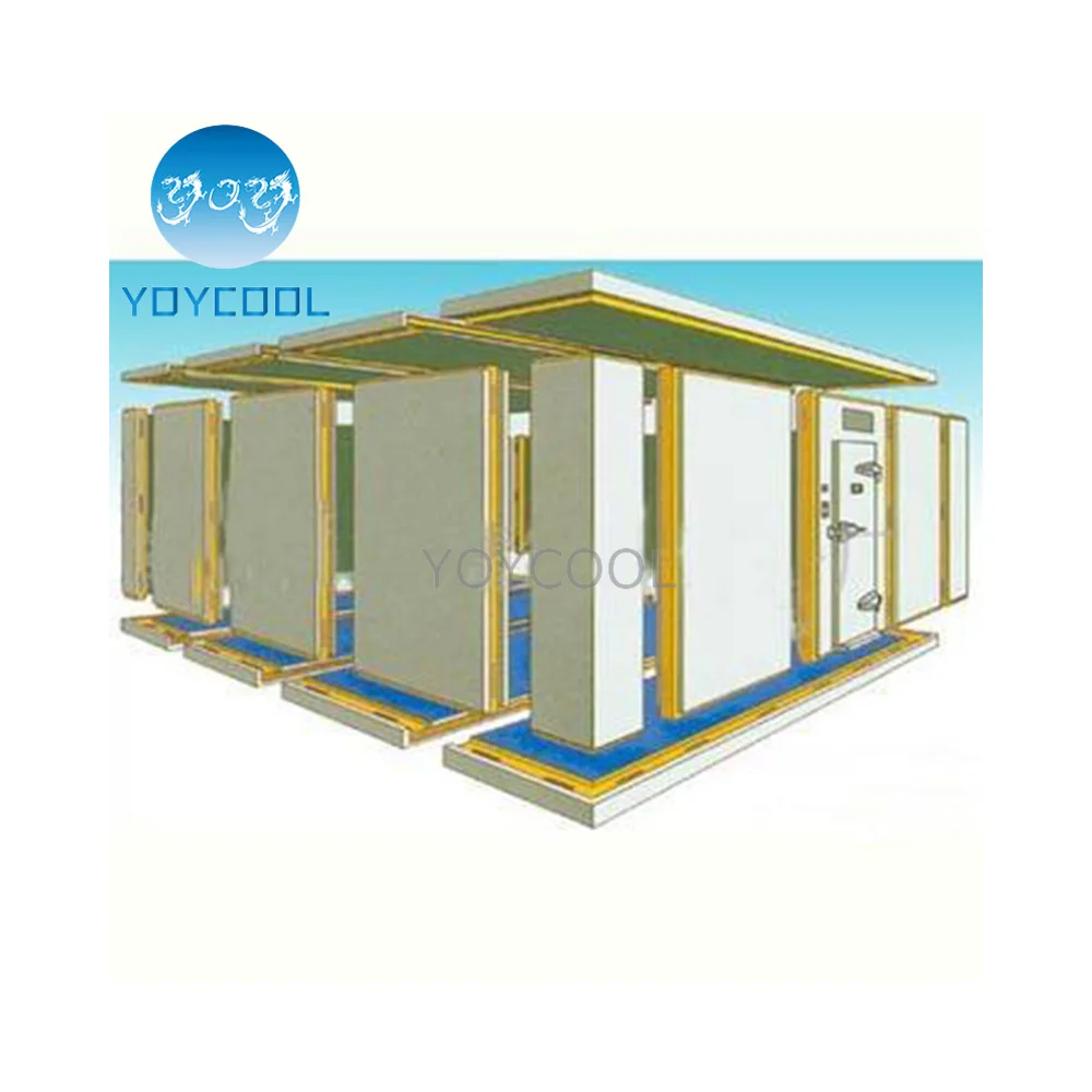 Industrial walk in freezer vegetable chiller cooler cold room