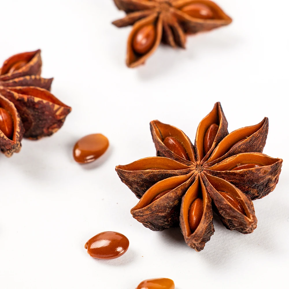 Chinese authentic star anise is the best choice for removing fishy smell and improving