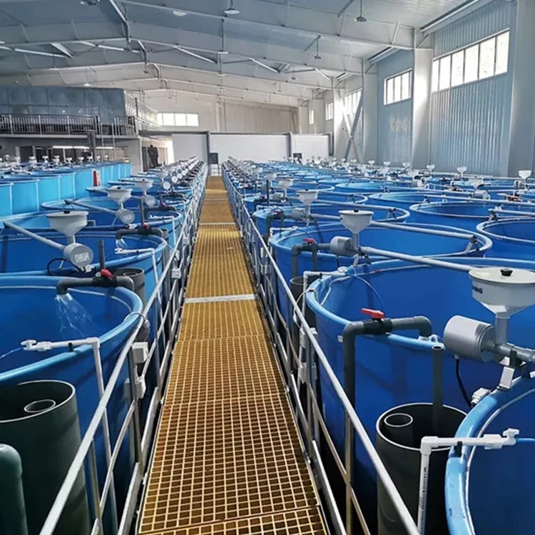 Оборудование для системы рециркуляции аквакультуры, современный хорошо разработанный детский садовый инкубатор тилапии