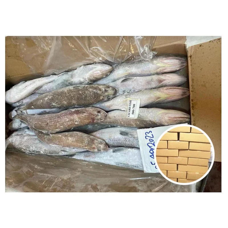Good Quality Fish 500-700g 700-1000g Available Frozen Lizard Fish