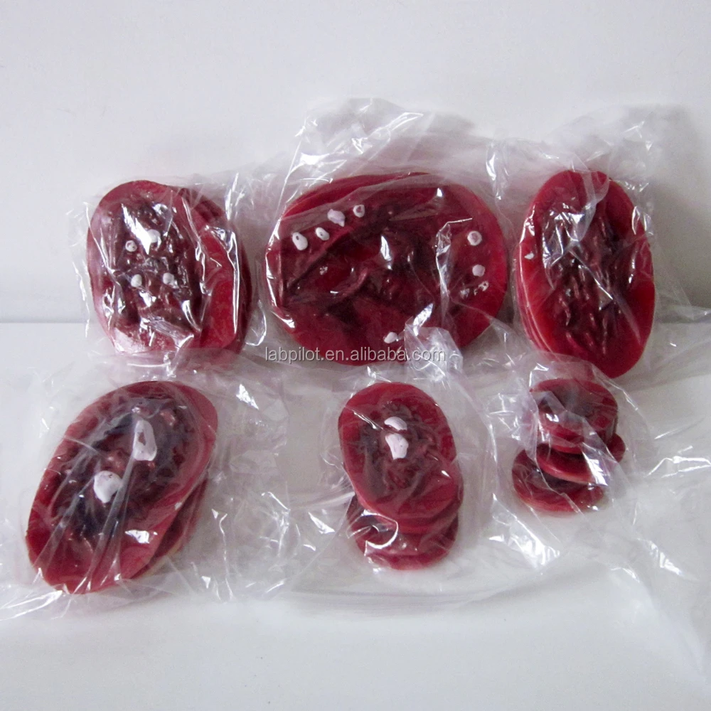 43 Wound Simulators Facial Burn Trauma Model,Trauma Evaluation Model