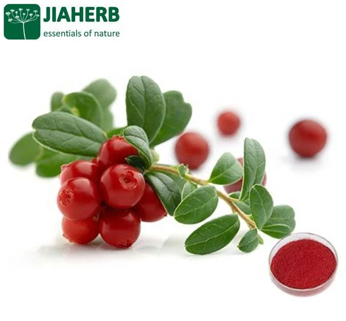 Jiaherb GMP Factory Cranberry Extract/Vaccinium Macrocarpon / Ratio Extract from China