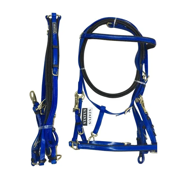 
Horse Bridles In PVC Material In Many Colors 