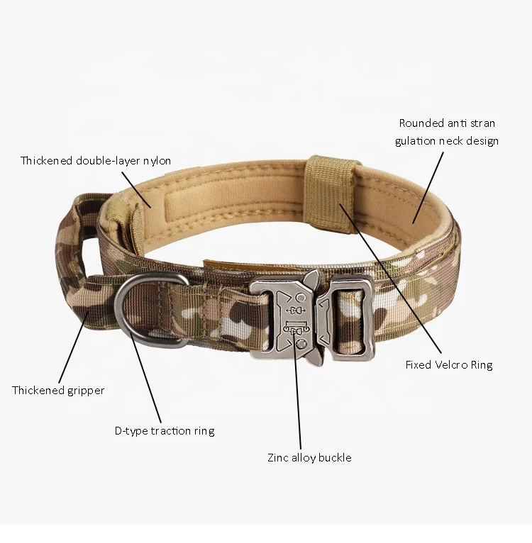pet products classic metal buckle dog training collar tactical dog collar and leash set luxury