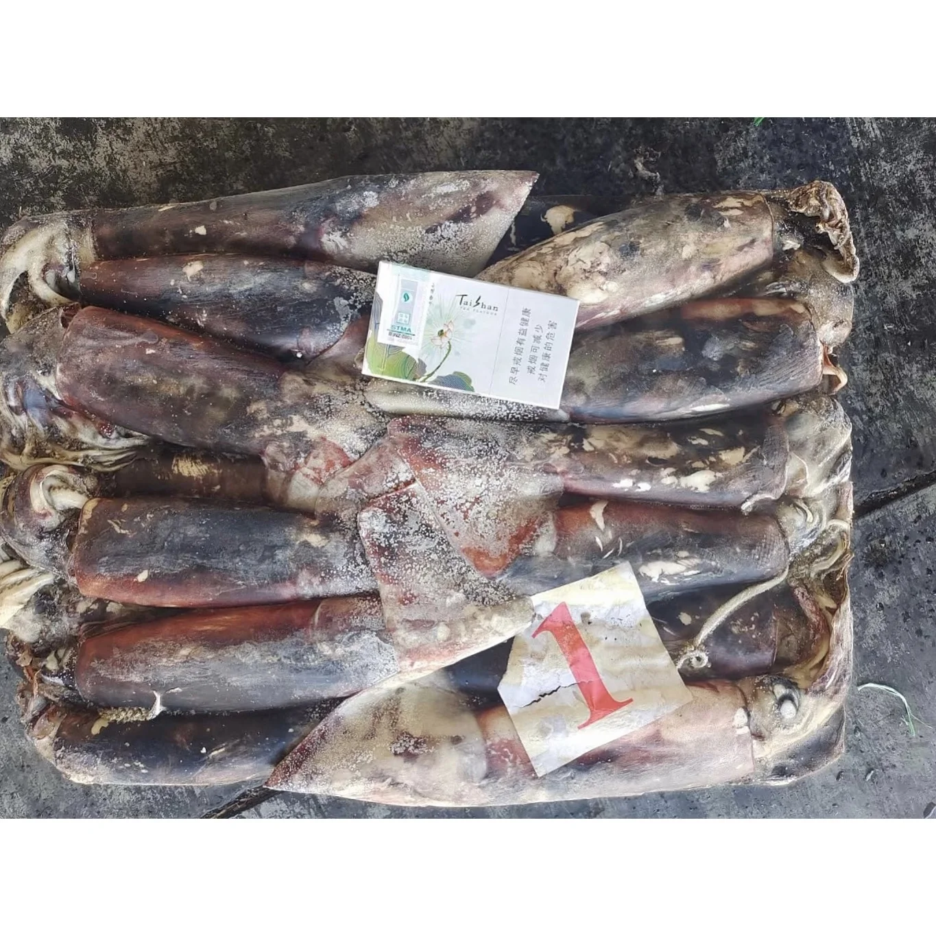 Frozen Calamari 300-500g Frozen Giant Squid Dosidicus Gigas Squid