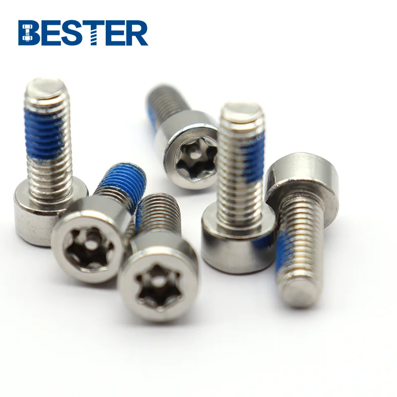 Customized DIN912 Stainless steel 304 316 6 lobes torx hex socket pin anti theft security screw
