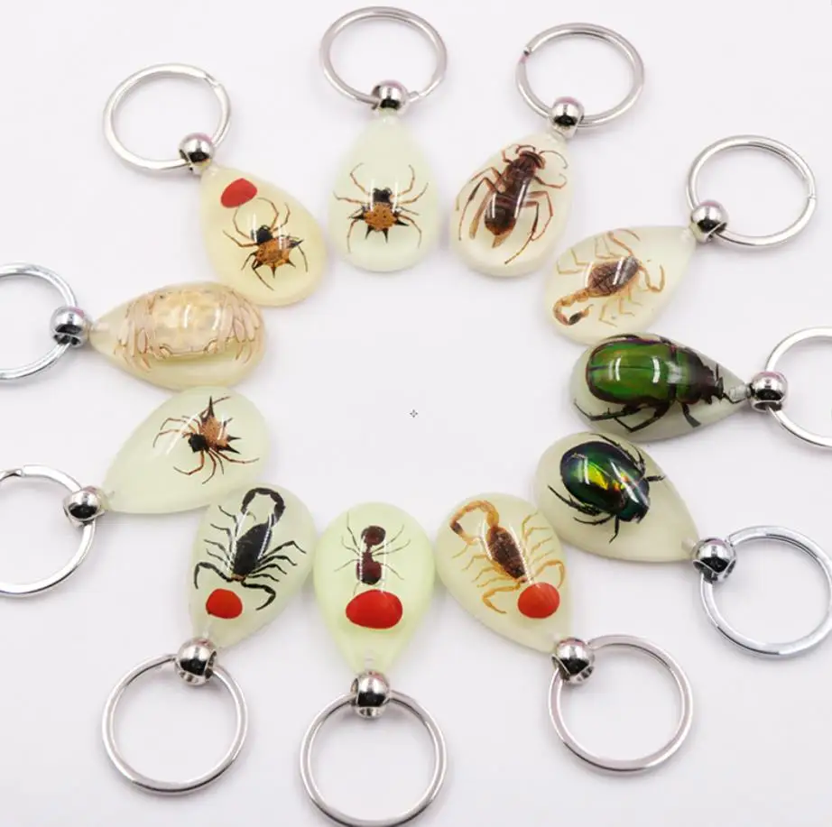 Wholesale Acrylic Plastic KeyChain Accessories Real Insect Inside Epoxy Resin Key Ring Amber Key Chain