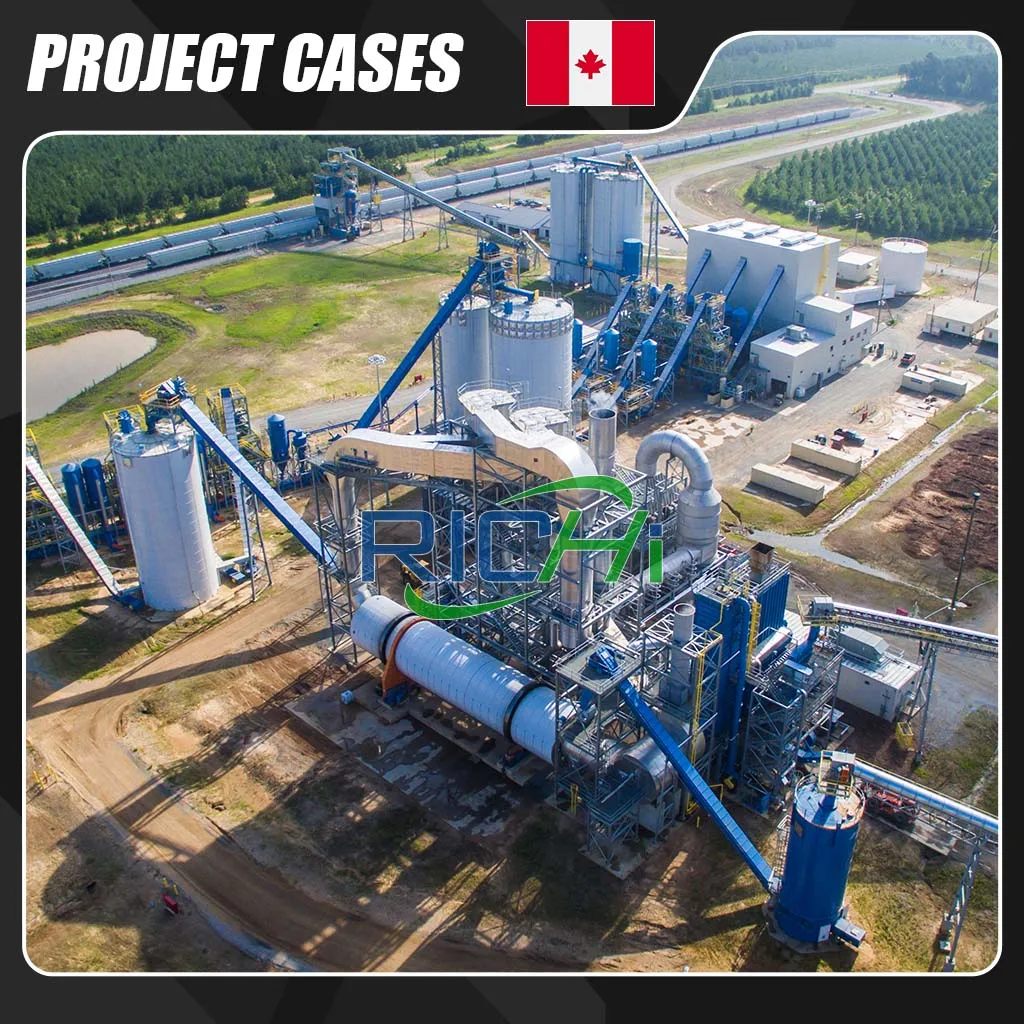 RICHI CE Cattle Livestock Feed Pellet Factory Feed Production Line for Making Feed Pellet