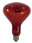 Infrared heating lamps for livestock industry 120/240V  175W  -500W