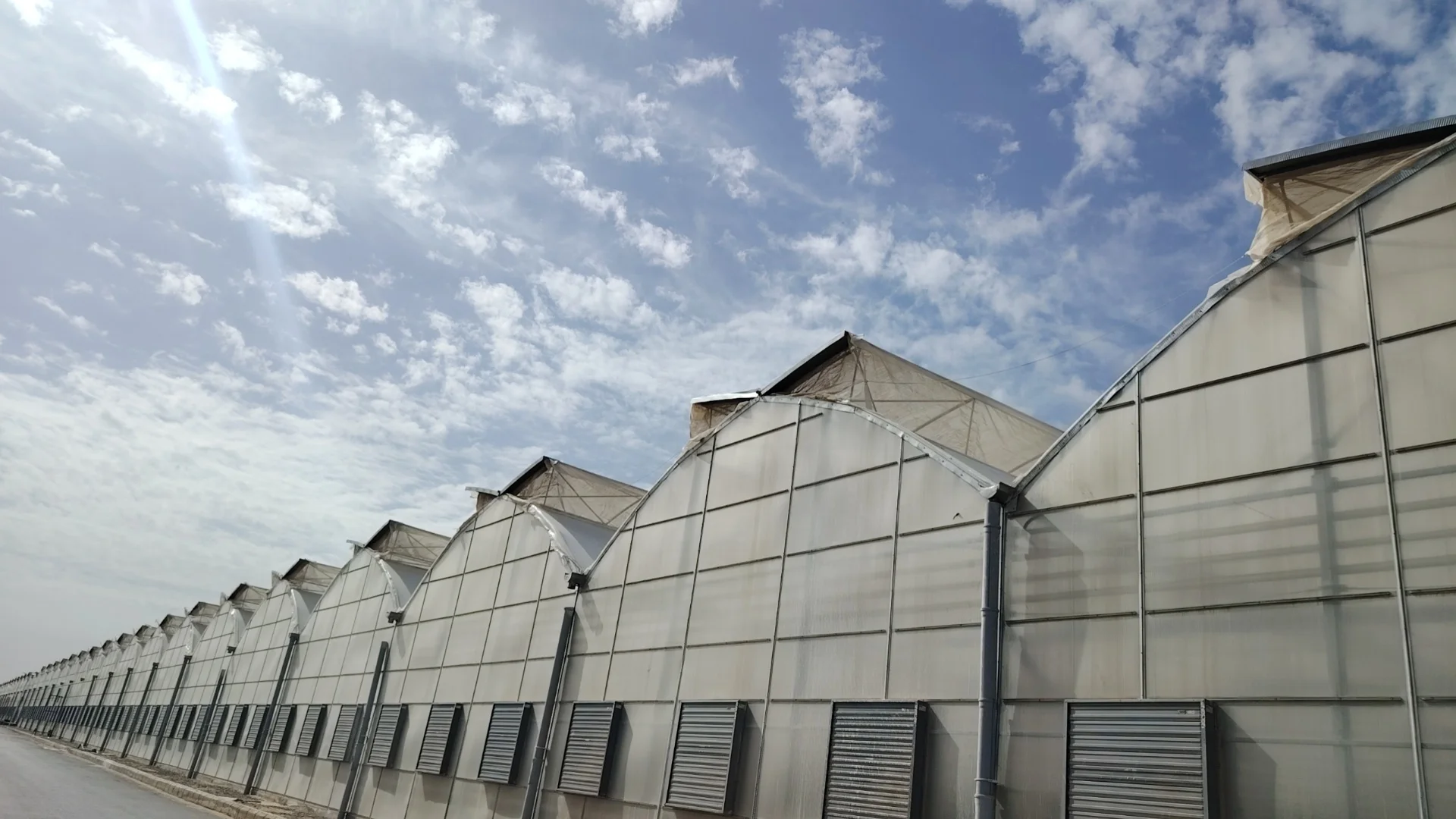 Low Cost Tomato Agricultural Gothic Multi-span Film Greenhouses for Plants Growing