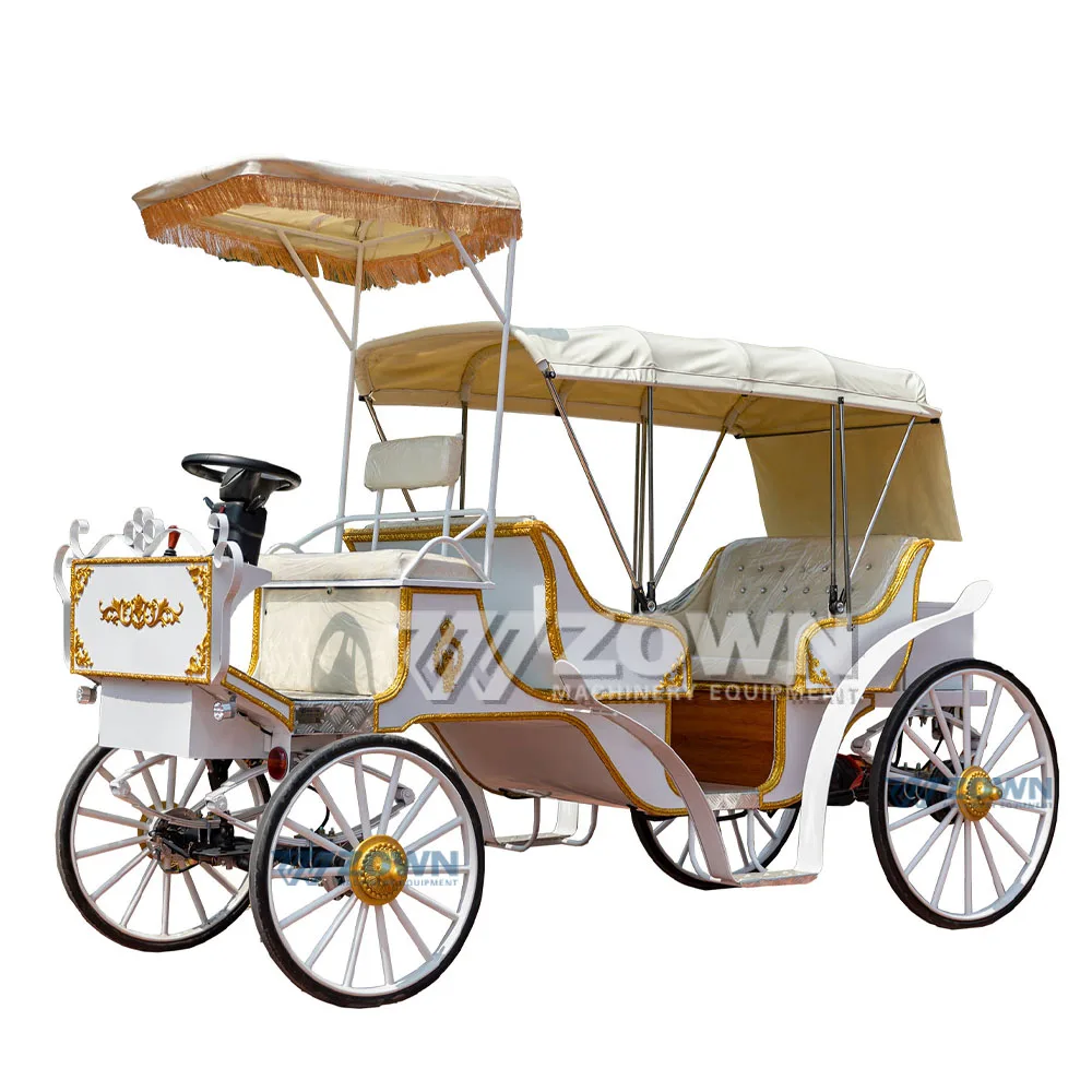 High quality Royal sightseeing electric carriage/low price high quality carriage for sale