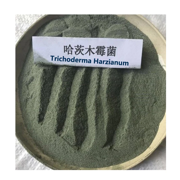 High content 100% Water Soluble Agricultural Grade Trichoderma Harzianum with good price