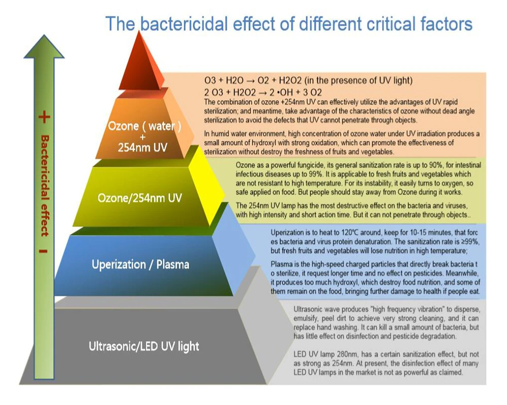 100 мг/ч O3 генератор для очистки фруктов и овощей