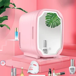 Portable Custom Home Use Mirror LED Light Cosmetic Makeup Skincare  Beauty Mini Fridge