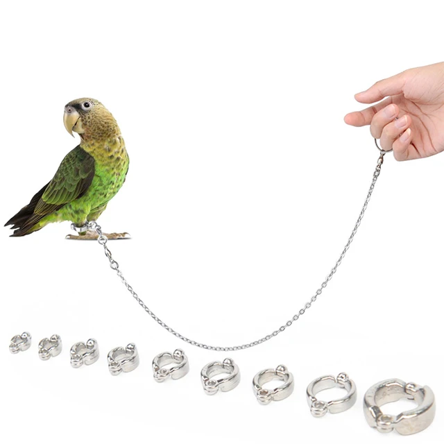 Parrot Harness Leash Outdoor Flying Traction Rope Stainless Steel Bird Chain Pet Harness