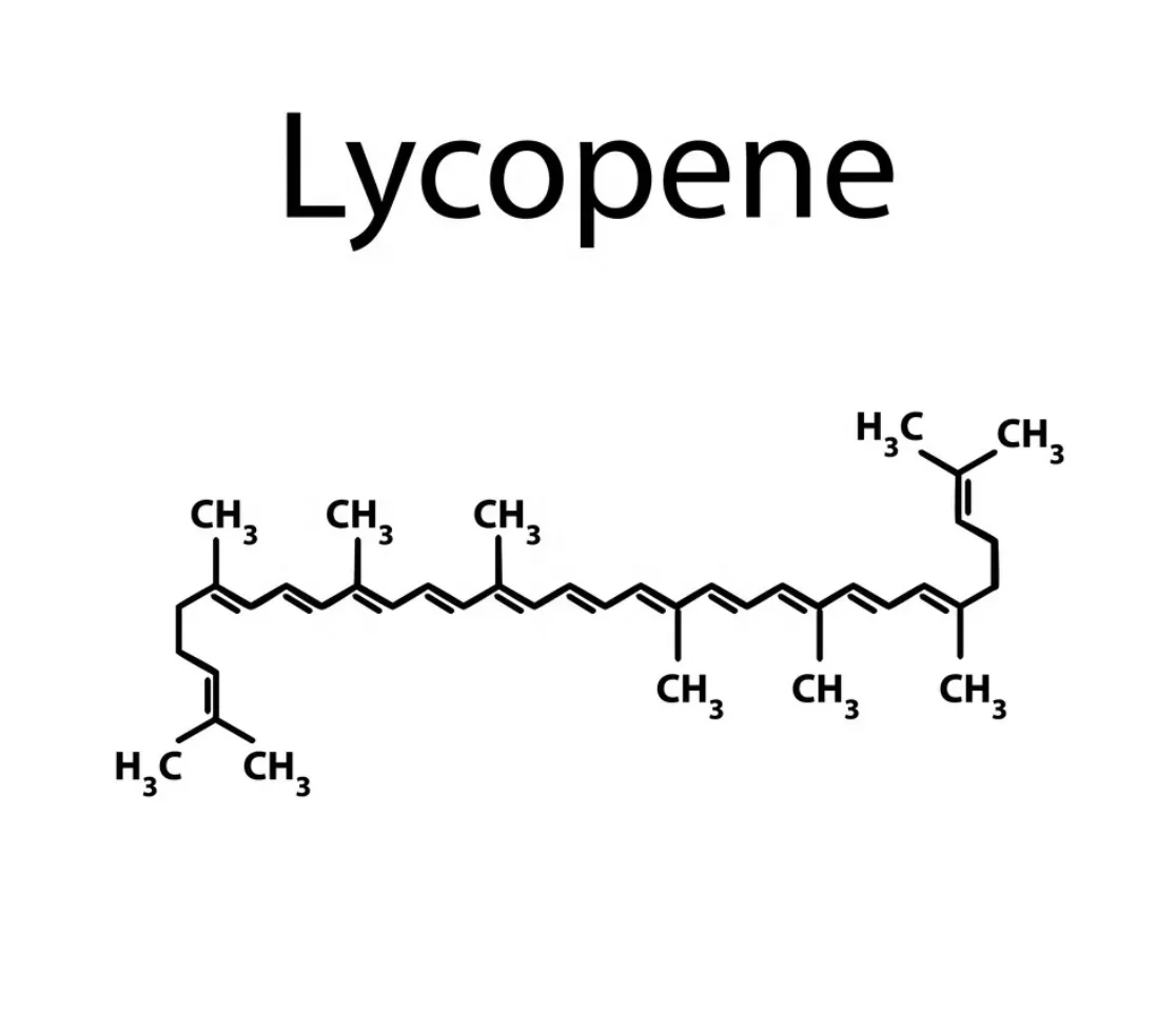 Pure Natural Food Pigment Tomato Extract 1%-10% Lycopene Powder