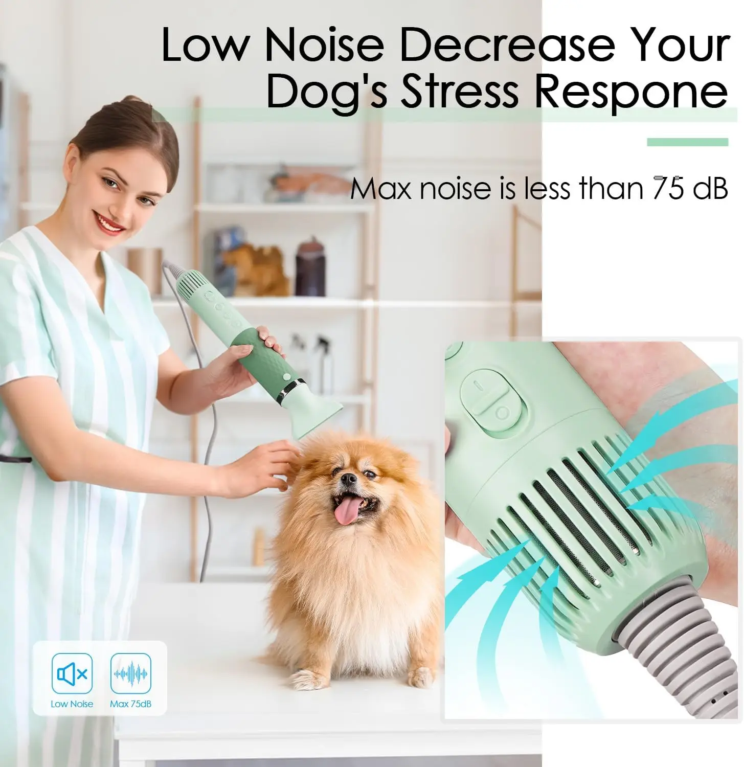 Pet grooming accessories adjustable fast speed heating motor dog cat hair pet dryer