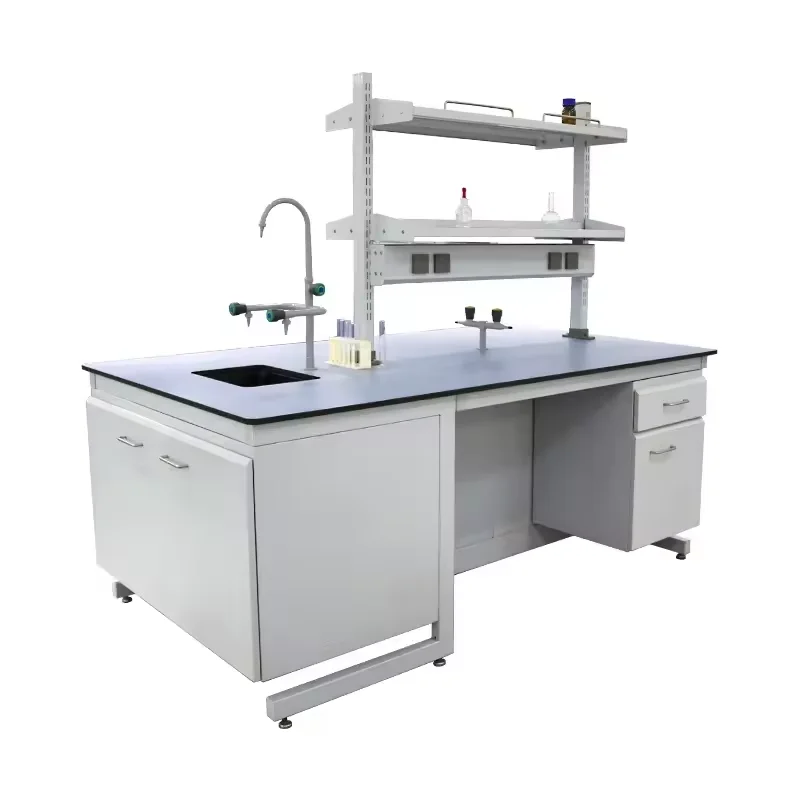 Lab Furniture Work Bench Laboratory Equipment Workbench HPL Hospital Furniture Medical Cabinet Lab Work Table Steel and Wood