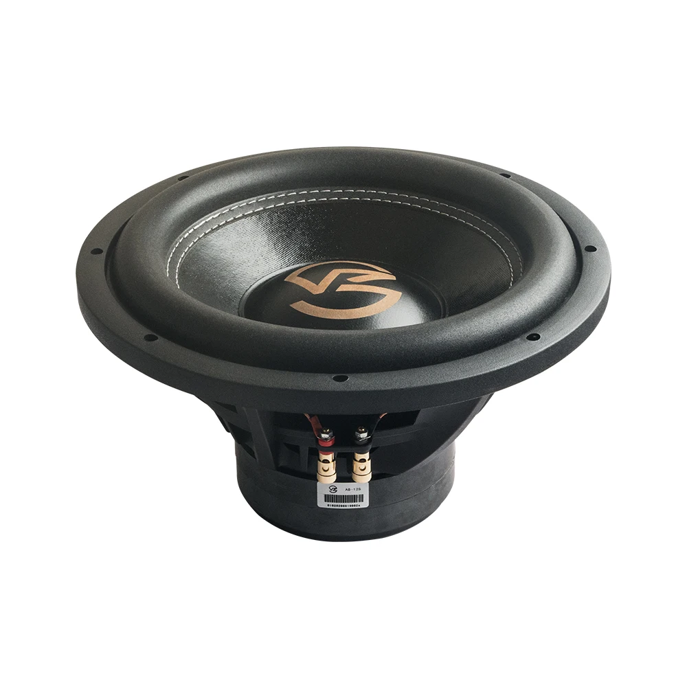
High power PP cone 10 inch car subwoofer speaker 