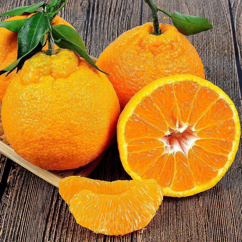 
Sweet and Juicy Fresh Oranges Naval Orange 