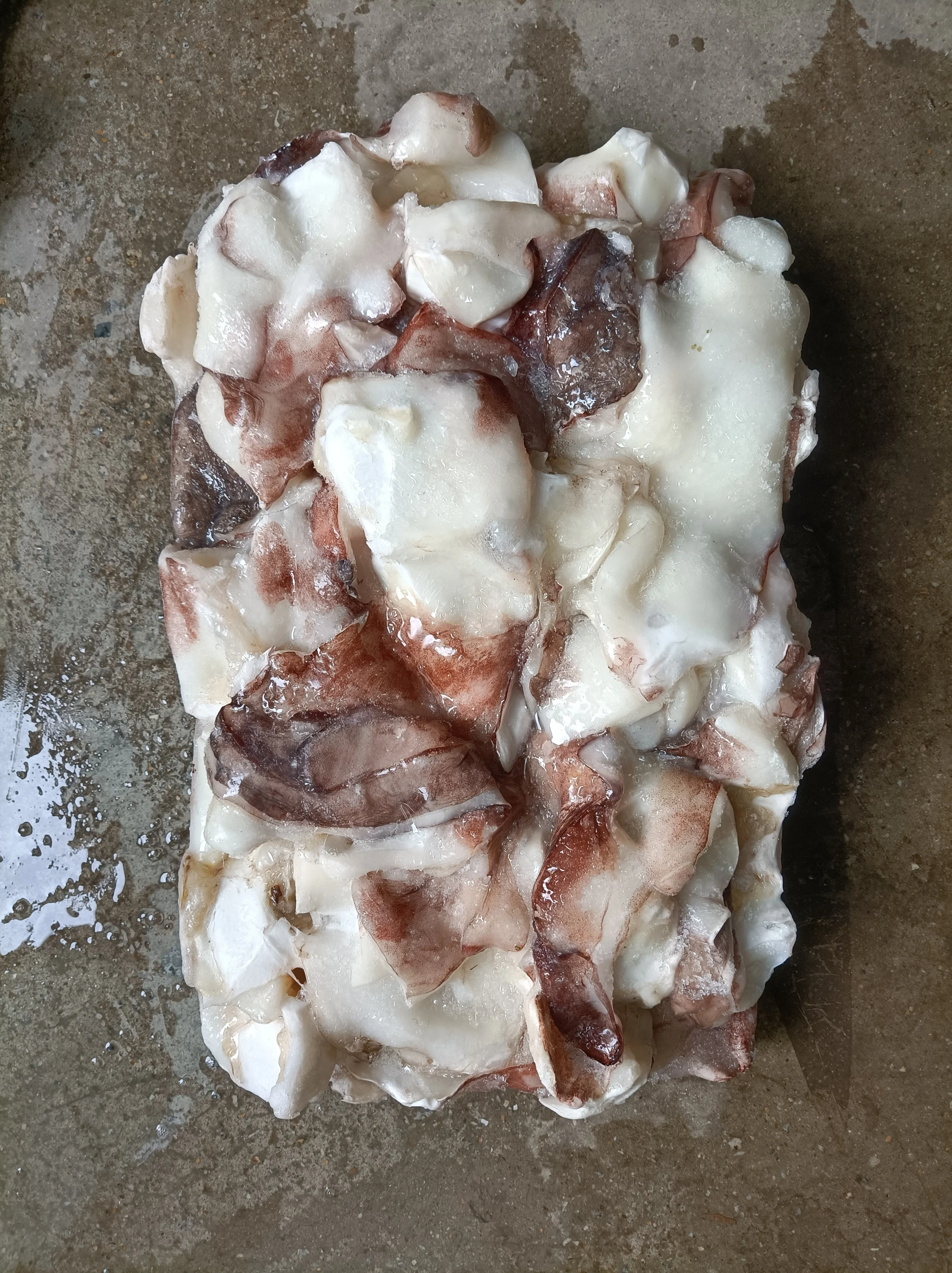 F103 New Arrival High Quality Frozen Giant Squid Neck 500G+ Frozen Squid Neck