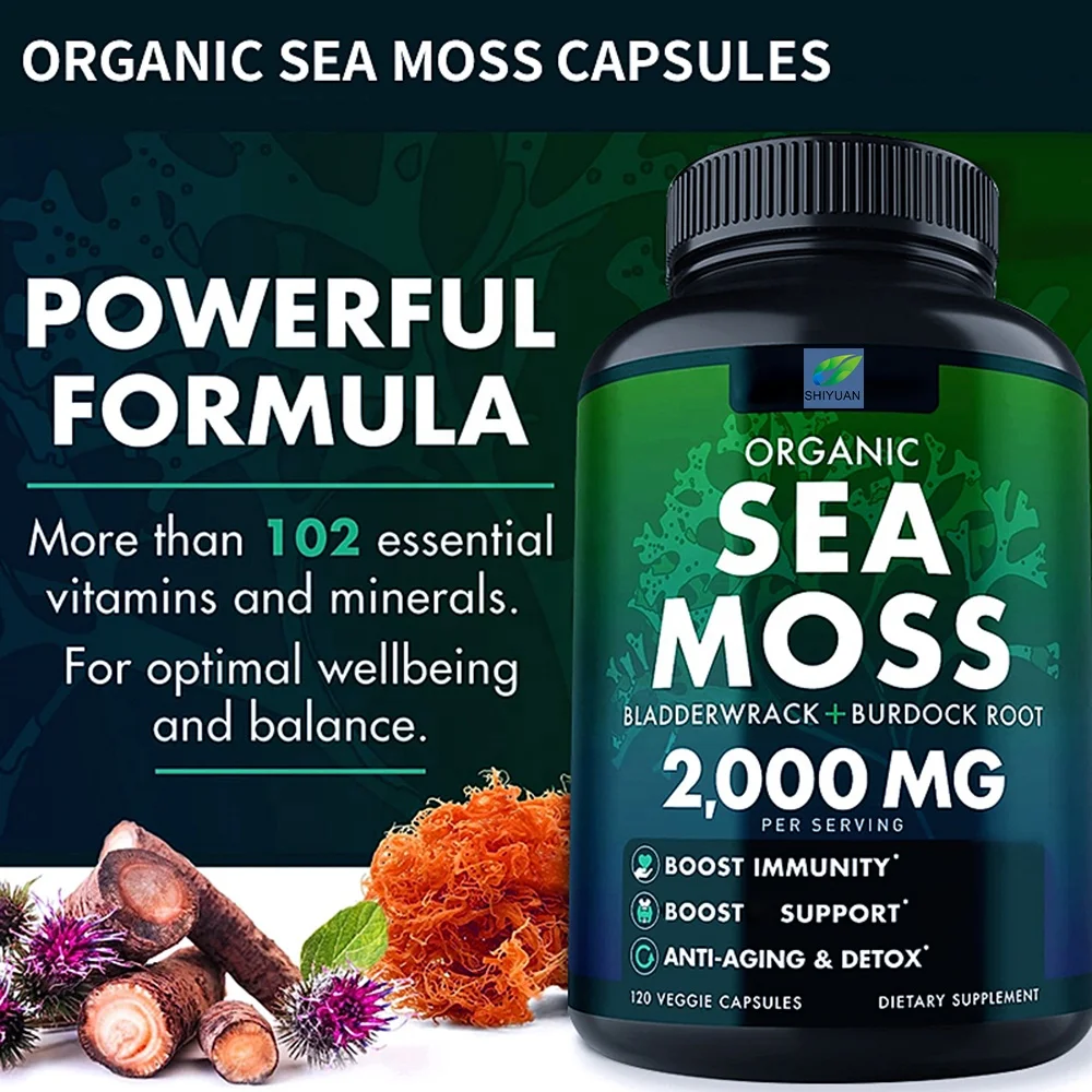 Organic Seaweed Capsule Burdock Root Irish Moss And Bladerwack Capsule Immune System Intestinal Cleaning Supplement 120 Capsules