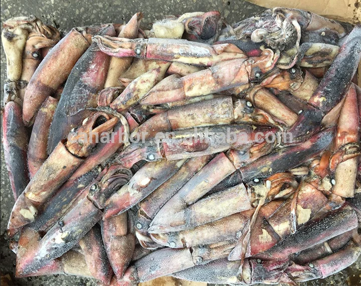 Good taste squid frozen giant squid black squid