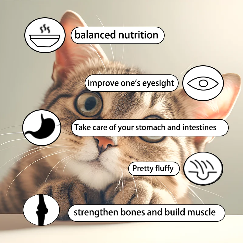 Cat Food Manufacturers Wholesale Best Fpet Ood China  Suppliers Trade Low Prices Cats Dry pet  Food For Pets Dogs And Cats