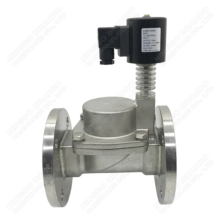 Flange Very High Temperature Steam Hot Water Stainless Steel Solenoid Valve 1' 1-1/4' 1-1/2' 2' 220V 110V AC 24V 12V DC