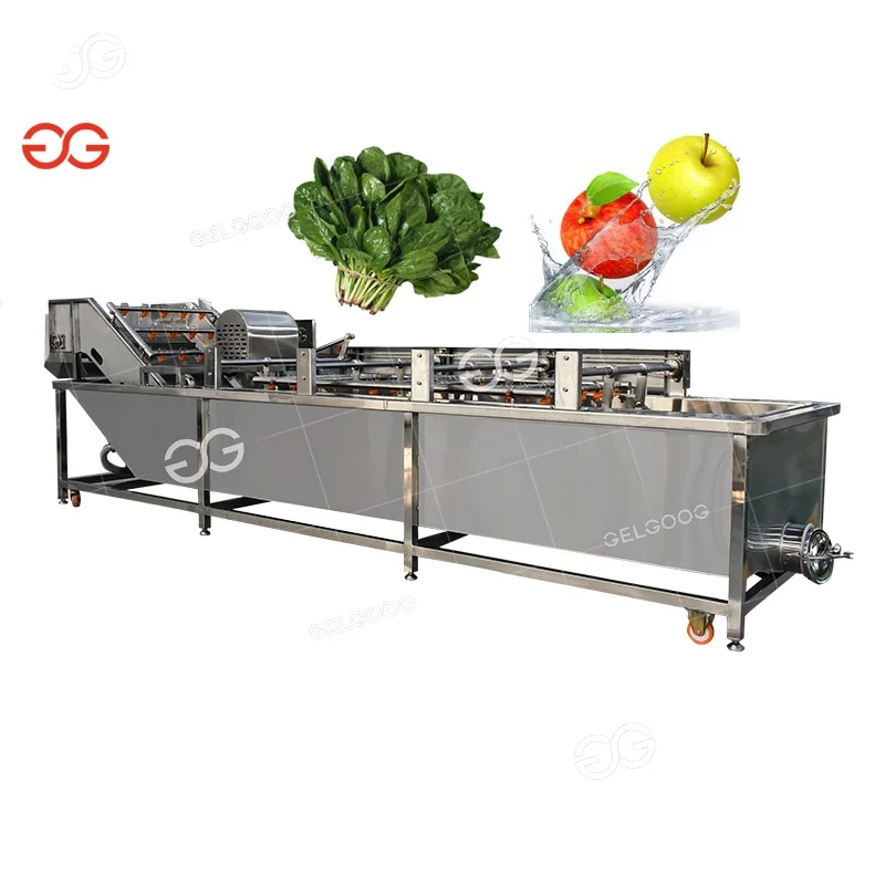  Gelgoog 500Kg/H Vegetable Washer Citrus Orange Sea Buckthorn Date Palm Spray Conveyor Milk fruit Washing