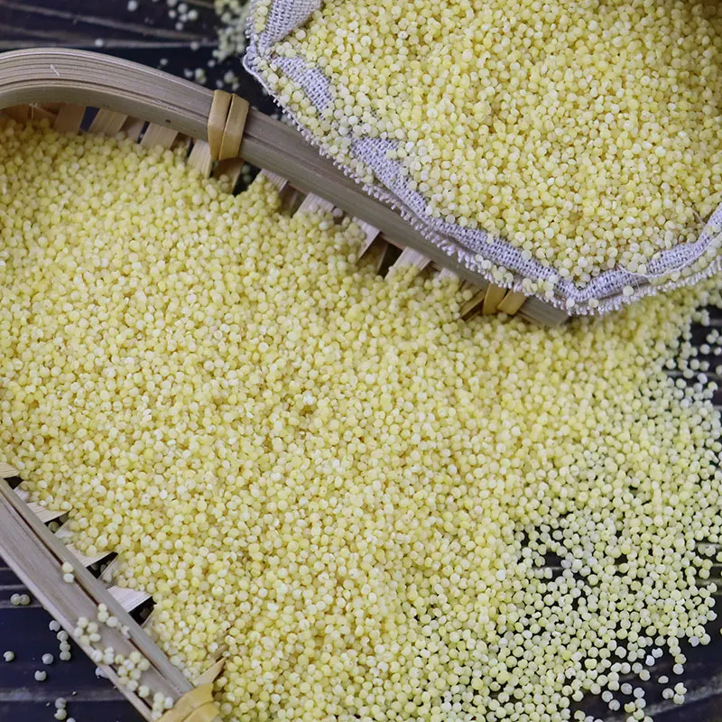 Nature yellow millet in husk For Bird Feeds Cheap polished millet groats White Red Black Yellow millet