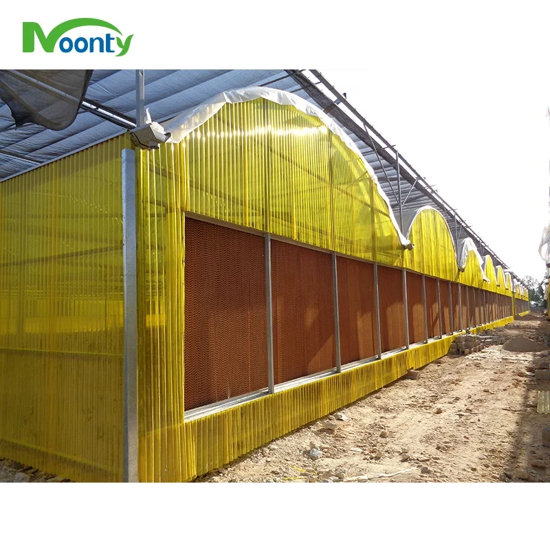 Middle East Corrugate Polycarbonate Agriculture  Green House High Quality PC Sheet Multi Span Greenhouse
