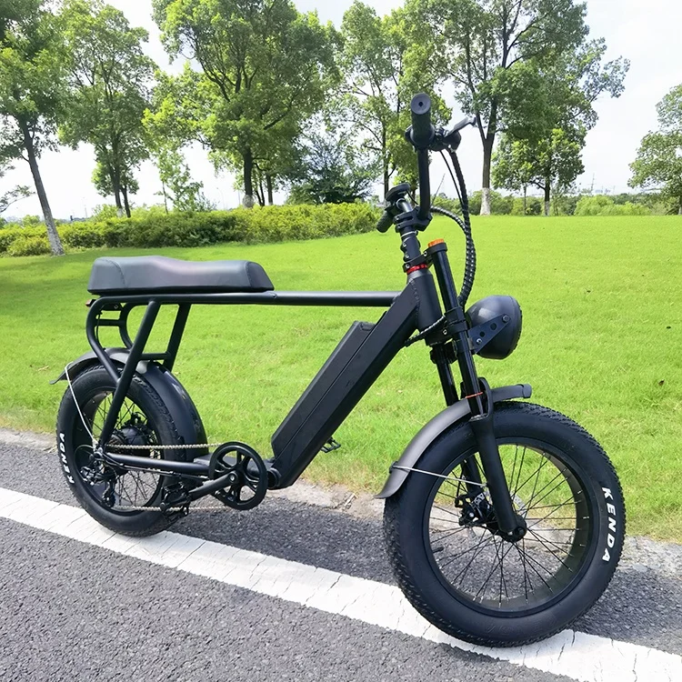 EU/US Wholesale Powerful Cafe Racer EBike 48V 750W Chopper Style Electric bicycle fat tire mid drive from China