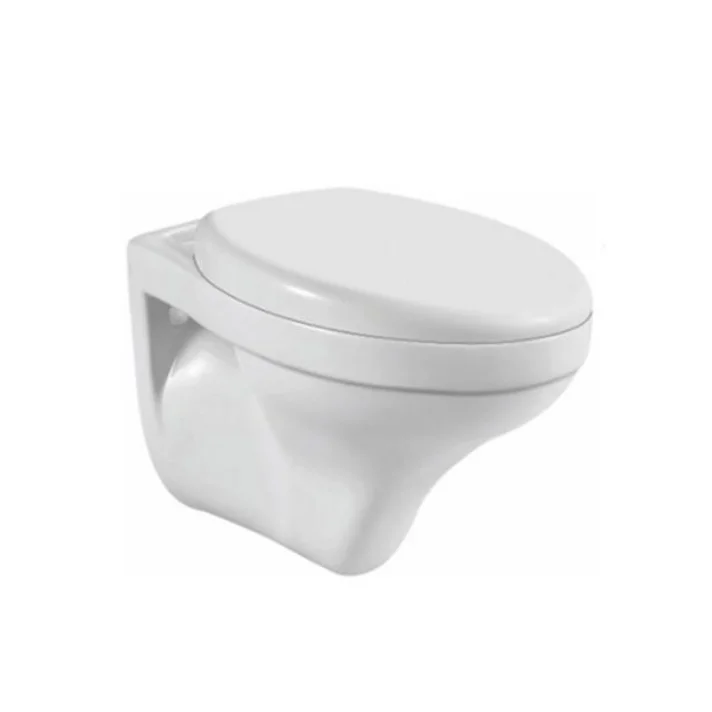 Wall-hung European Sanitary Ware Bathroom Back to Wall Hanging Wc Modern Ceramic Rimless Flush Wall Hung Toilet