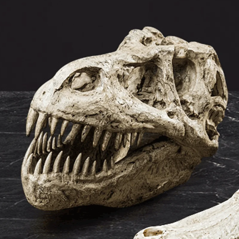 Customized Polyresin Dinosaur Head For Living Room Hotel Tabletop Ornaments