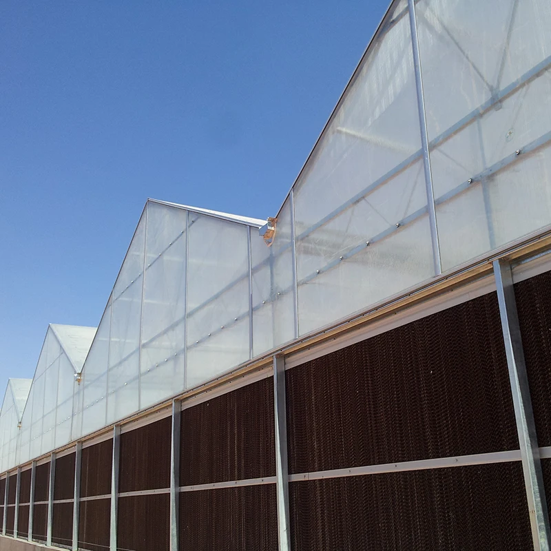 High Quality Greenhouse Cooling Pad System For Sale