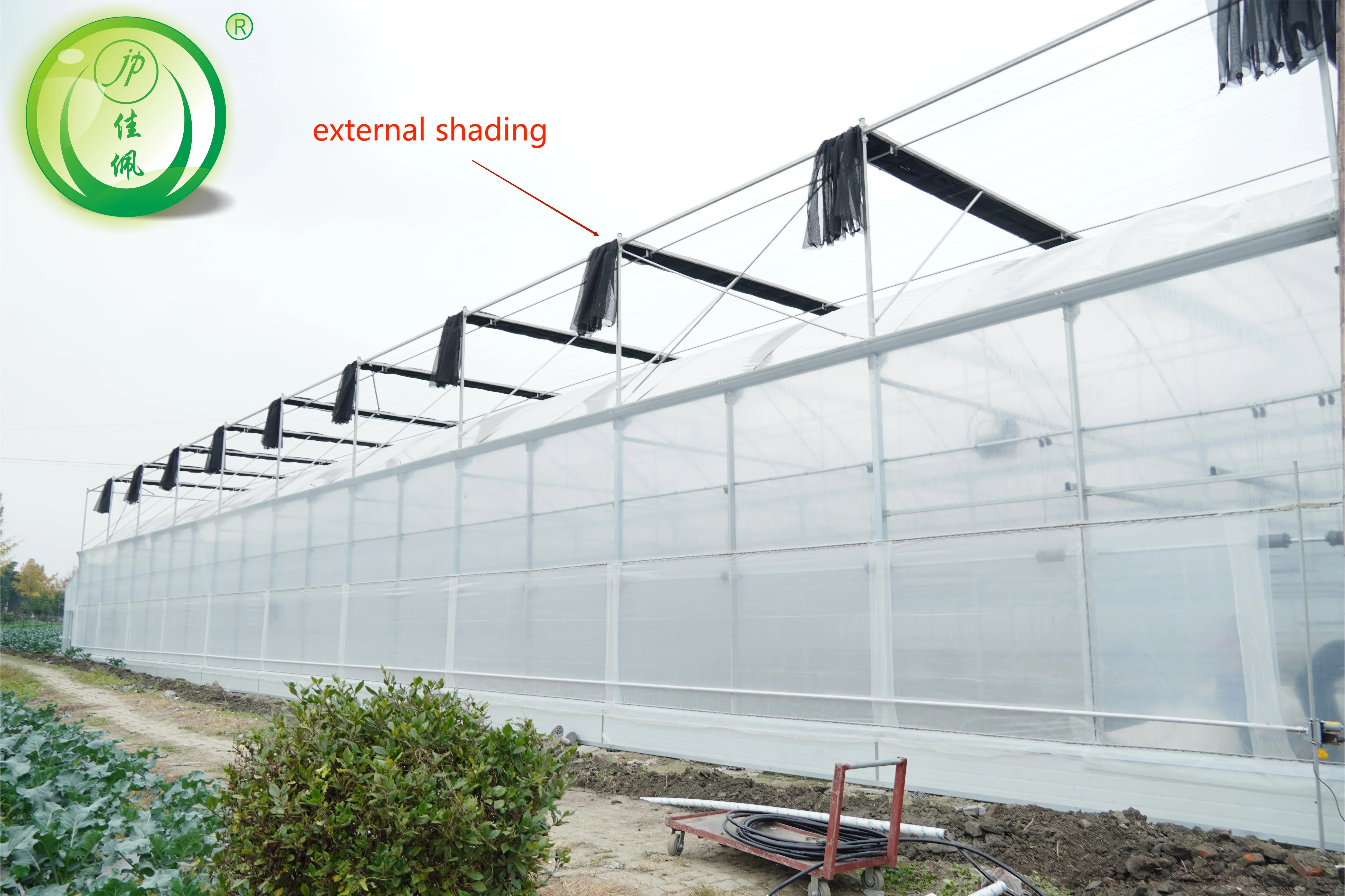 Agricultural Vegetable Growing Green House Multi-span PE Plastic Film Greenhouses Poly tunnel greenhouse with irrigation system