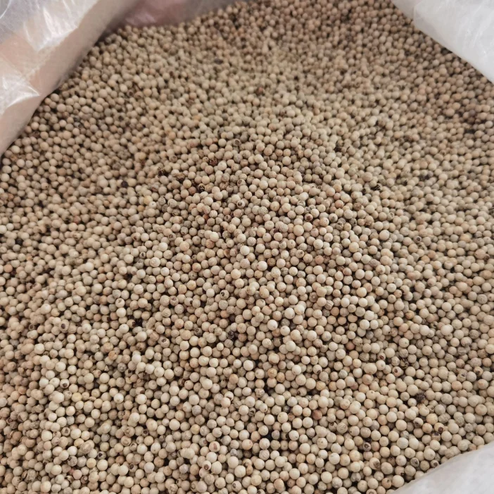 Supply whole Specifications Vietnam White Pepper high quality Peppercorn White Pepper