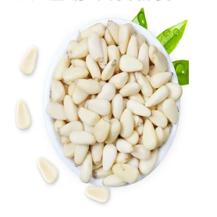 High quality raw pine nuts cooked pine nuts roasted pine nuts