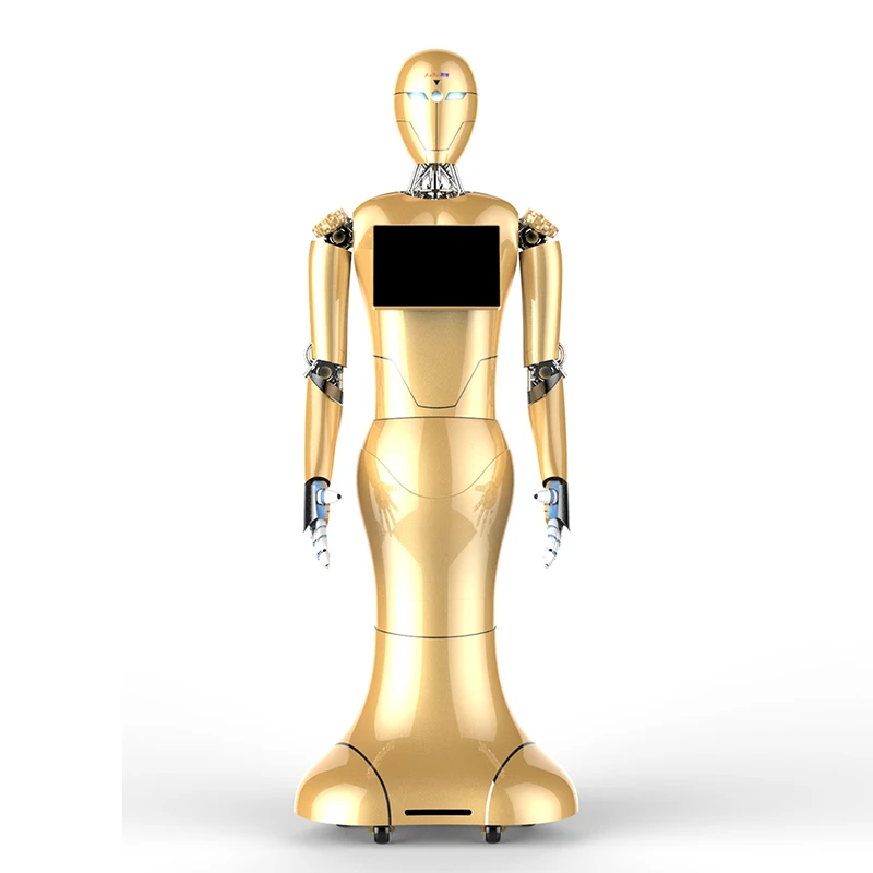 Dajin face identification shopping mall bank and  hotel welcome Service Robot