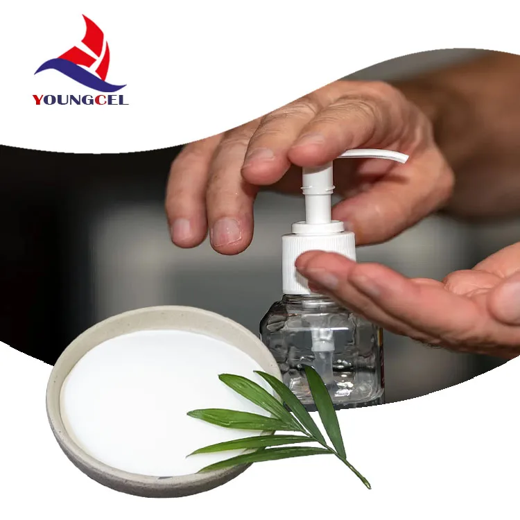 Hydroxypropyl Methyl Cellulose Tylose HPMC 200000cps for Detergent