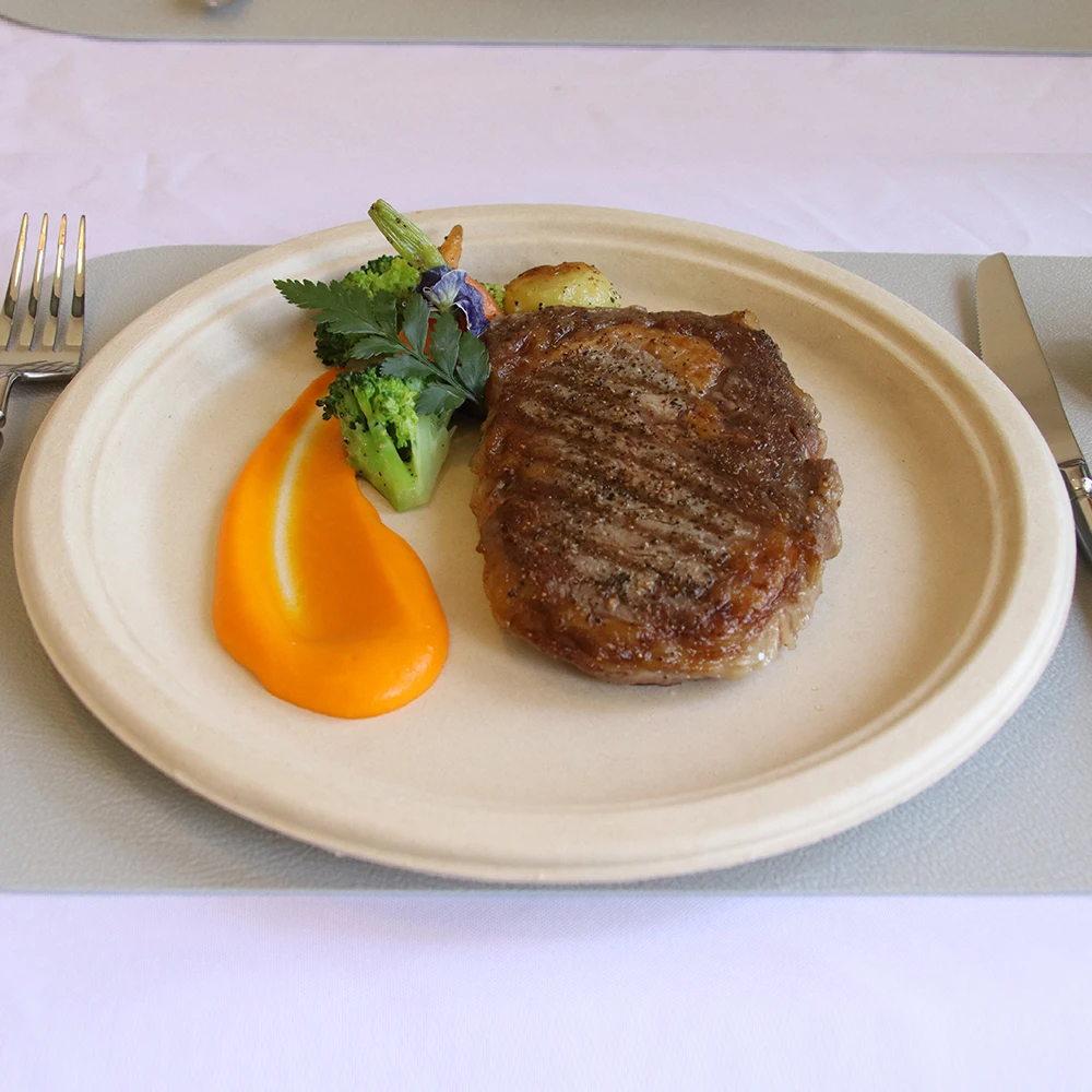 7-Inch Biodegradable Sugarcane Pulp Paper Plate Disposable Compostable round Dish Cake Fruit Lunch Bagasse Container