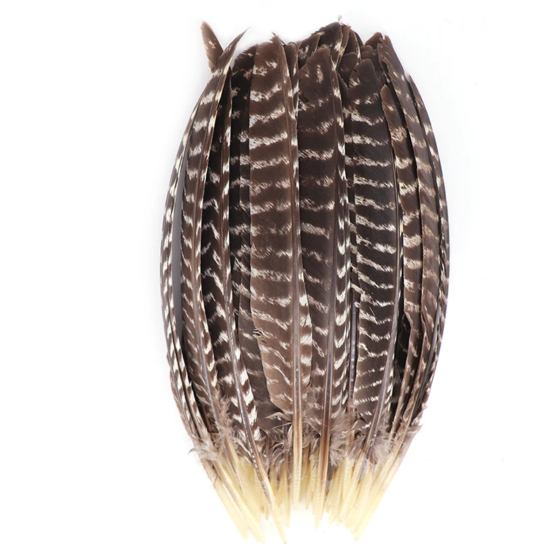 Feather Wholesale 30-35CM Natural Plumas Patterned Turkey Wing Feathers for crafts Arrows decorations