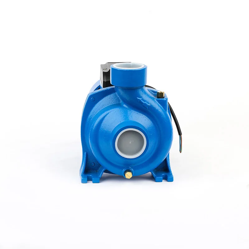 Factory Wholesale Industry Centrifugal Electric Water Pump Agricultural Irrigation 2 Inch Water Pumps