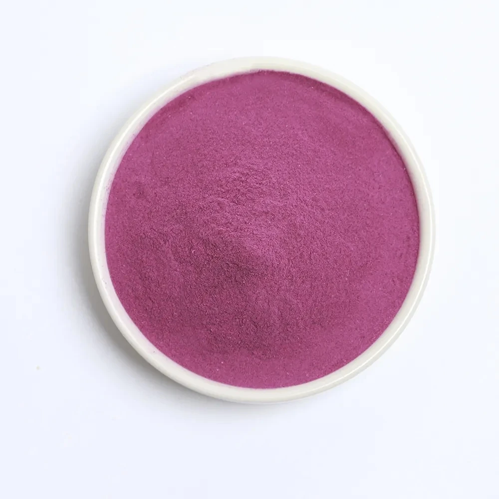 22 Years Production Experience High Quality and Low Price Fruit and Vegetable Powder Dried Blueberry Powder Pet Food
