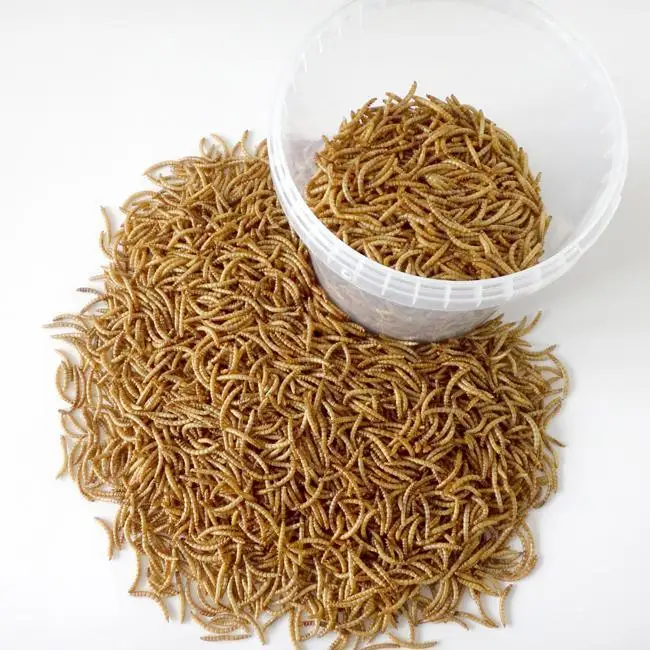 Quality Protein Dried mealworms Animal Feed Best Grade Fish Dog Horse Cattle Chicken Reptile Pig Protein dried worm meal