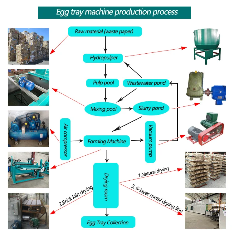 Small egg trays molding machinery paper pulp forming automatic egg carton tray making machine production line price