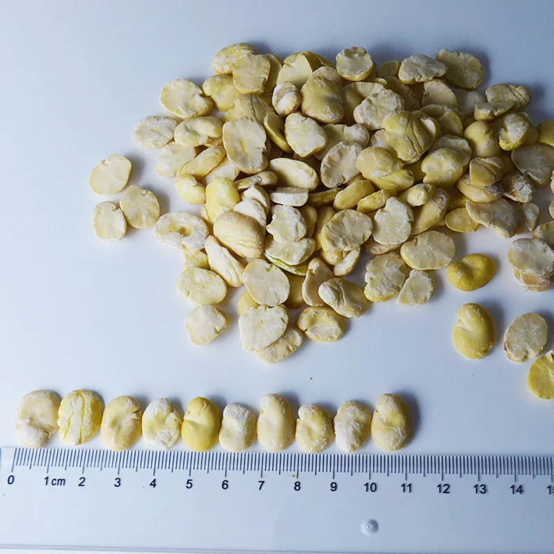 High quality  split broad bean peeled fava bean for sale