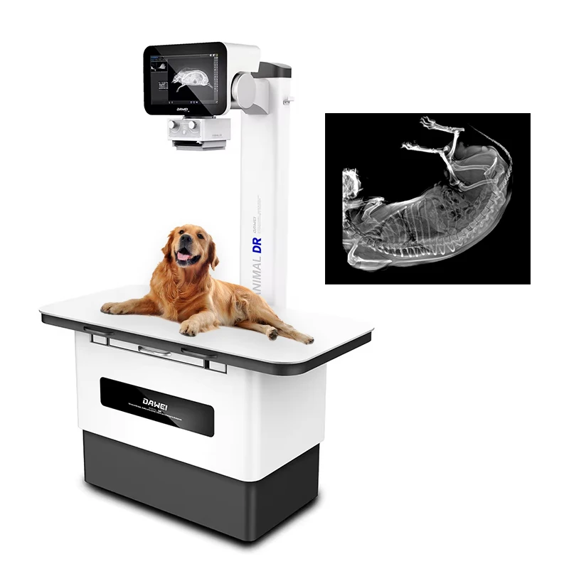 X RAY Flat Panel Wired or wireless Veterinary Software X-ray Digital Detector DAWEI Xray Flat Panel Detector FOR DOG CAT